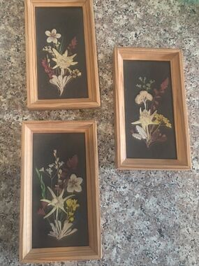 Vintage Floral Wall Art Trio in Black and Light Wood Tones